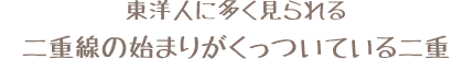 東洋人に多く見られる二重線の始まりがくっついている二重