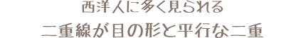 西洋人に多く見られる二重線が目の形と平行な二重